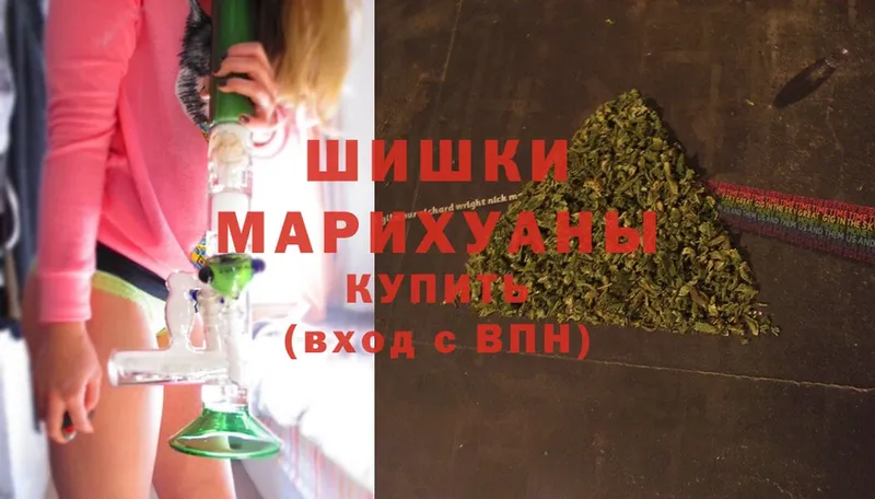 Бошки Шишки SATIVA & INDICA  цена наркотик  Чебоксары 